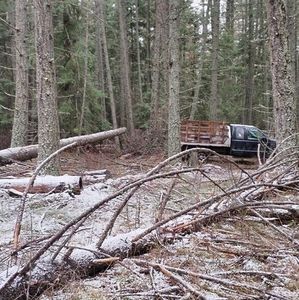 Meet your Posher, Brad